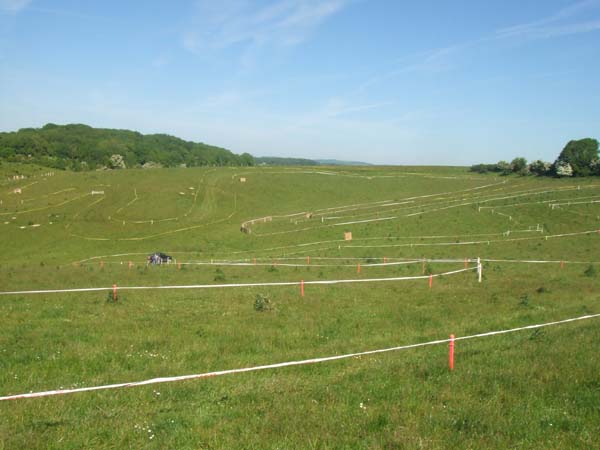 DSCF0653